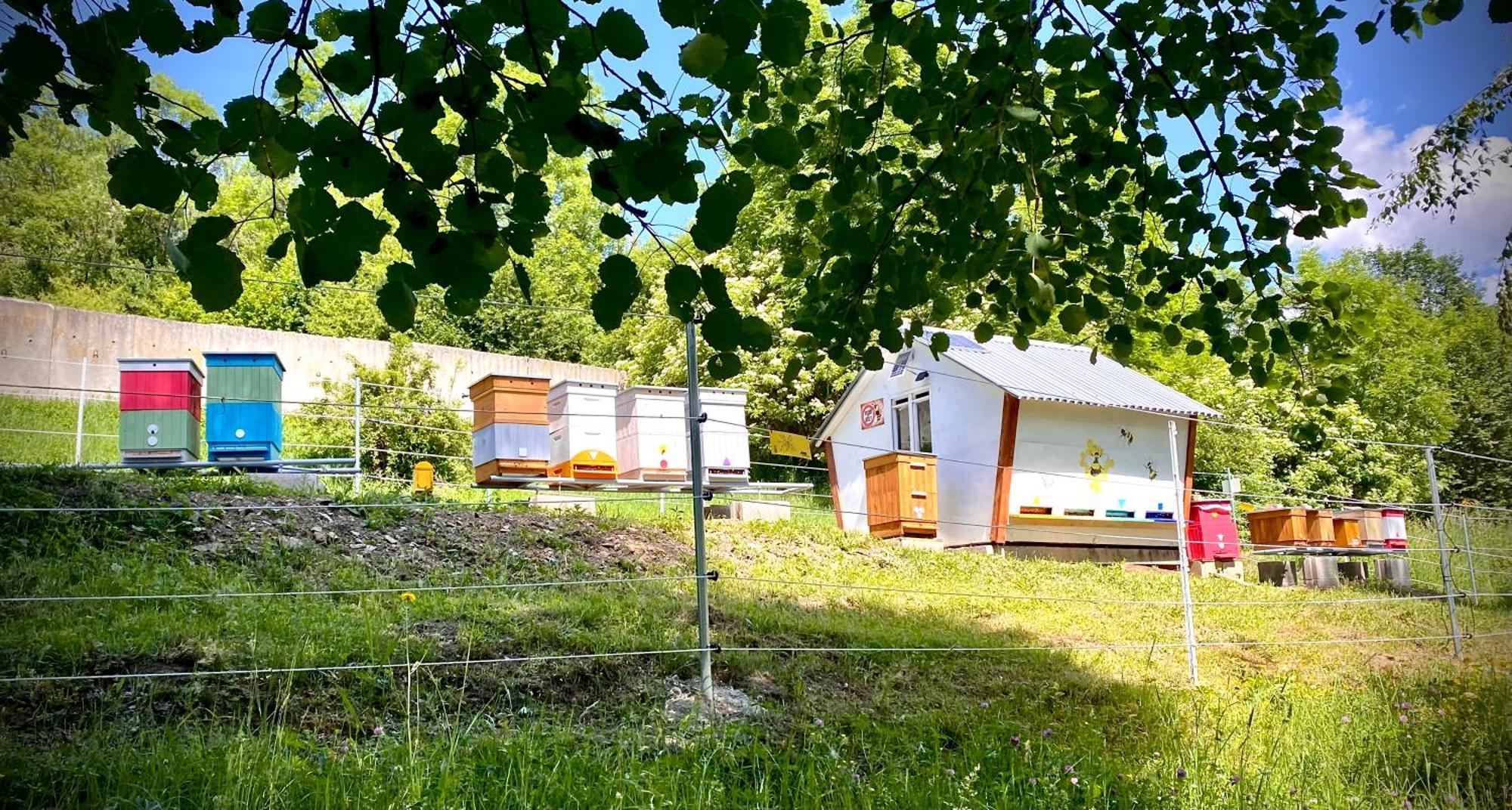 Apartmany Svrcinky Liptovský Mikuláš Exteriér fotografie