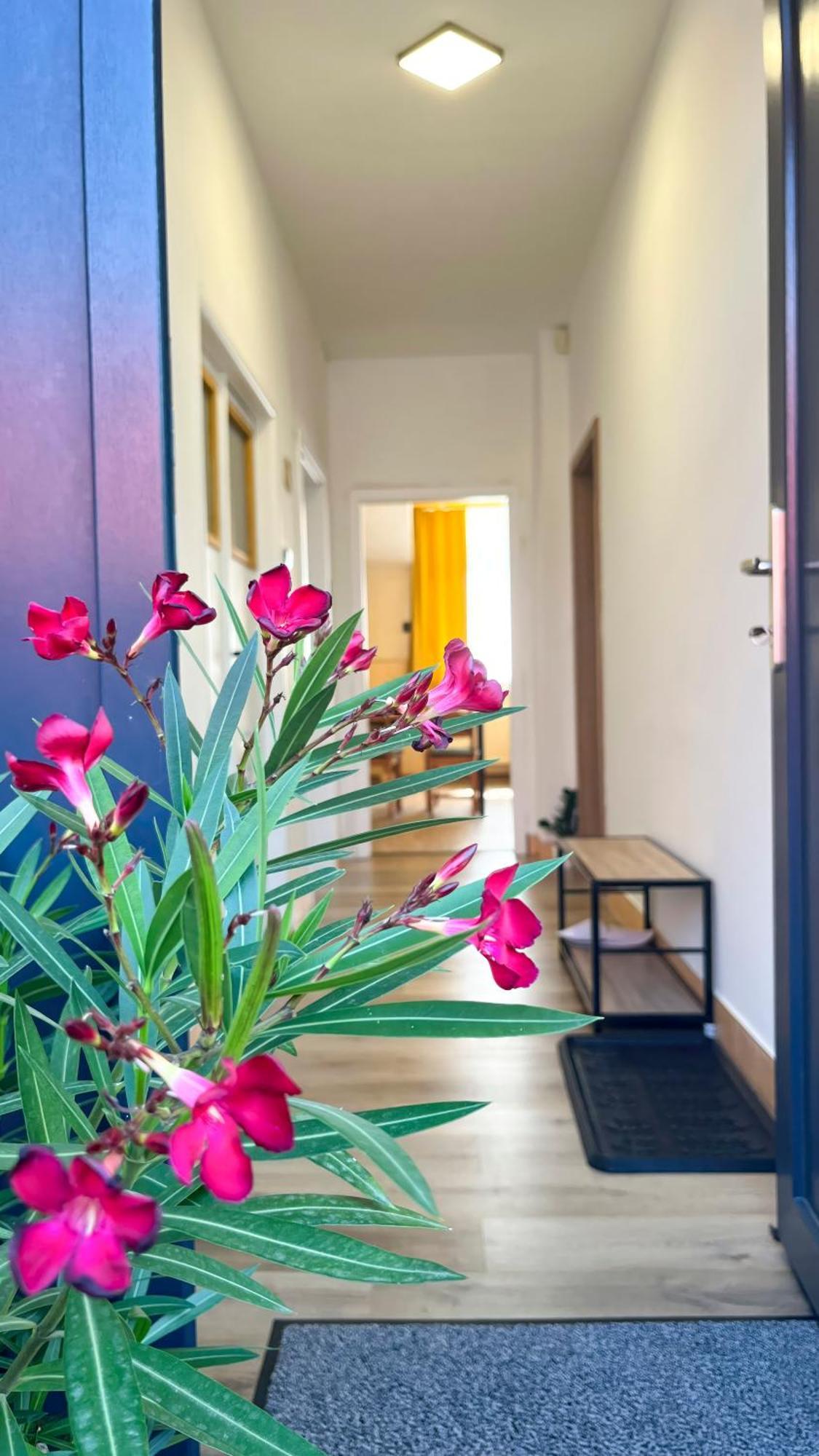 Apartmany Svrcinky Liptovský Mikuláš Exteriér fotografie